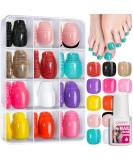 12 Color Press-On Toenails - 288 PCS Short Square with Glue | Glossy Glitter & French Tip Options for Summer - Buy Online on GoSupps.com