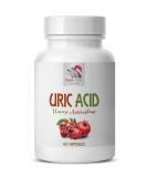 Shop Alerna Kidney Health - Natural Uric Acid Cleanse Support with Tart Cherry Capsules | 60 Veggie Capsules - Buy Online on GoSupps.com