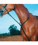 Shires Equestrian - Blenheim Standing Martingale - Havana - Size: Cob - Buy Online on GoSupps.com