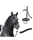 Buy Passier Bridle Apollo - Black Patent Noseband with Reins for Warmblood Horses | International Shipping Available - Buy Online on GoSupps.com