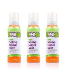 Boogie Mist Baby Saline Nasal Spray 3.1 oz (Pack of 3) | Gentle Nasal Decongestant with Saline for Fresh Relief - Buy Online on GoSupps.com
