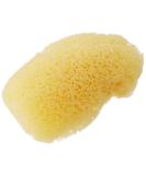 Pro Art Natural Sea Silk Sponge - Premium Quality for Artists - Buy Online on GoSupps.com