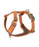 Buy DOG Copenhagen Comfort Walk Air 3.0 Dog Harness - XL Orange Sun | International Shipping Available - Buy Online on GoSupps.com