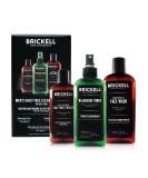 Brickell Men's Daily Face Cleanse Routine for Oily Skin | Alcohol-Free Toner Gel Facial Wash & Moisturizer | Natural & Organic Skincare - Buy Online on GoSupps.com