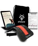 Back Stretcher for Posture Correction & Pain Relief - Red | Adjustable Back Massager | Shop Internationally - Buy Online on GoSupps.com