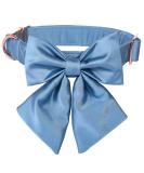 Lionet Paws XL Dog Collar - Comfortable Silk with Removable Fly for Large Dogs (Neck 40-66cm) - Blue - Buy Online on GoSupps.com