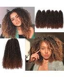 12 Inch Short Passion Twist Hair Marlybob Crochet Hair - 6 Bundles 12 Kinky Curly Crochet Hair for Black Women - Buy Online on GoSupps.com