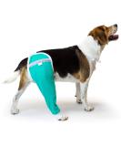 After Surgery Wear: Large Petrol Hip & Thigh Protective Cover for Dogs - Veterinarian Recommended Recovery Cuff - Buy Online on GoSupps.com