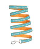 Pets First NFL Pet Leash Large - Buy Online on GoSupps.com