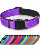 Joytale Reflective Dog Collar for Puppies - XS Purple | International Shipping Available - Buy Online on GoSupps.com
