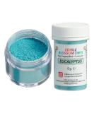Sugarflair Eucalyptus Food Colouring Powder Dust - 5g | Ideal for Cake Decorating & More - Buy Online on GoSupps.com