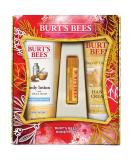 Burt's Bees Honey Pot Holiday Gift Set - 3 Honey Skin Care Products | Body Lotion Hand Cream & Lip Balm - Perfect for Gifting - Buy Online on GoSupps.com