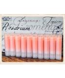 Buy 20 Pumpkin Spice Latte Lip Balms | Clear Tubes | Unbranded Bulk Wholesale - Perfect for Fall - Buy Online on GoSupps.com