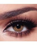 Buy Bella 1-Day Colored Contact Lenses Radiant Hazelnut - Perfect Natural Look for Dark Eyes - No Prescription Needed - Buy Online on GoSupps.com
