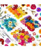 141PCS Real Nature Dried Pressed Flowers for Resin Mold - DIY Jewelry, Nail Art & Scrapbook Decor - Buy Online on GoSupps.com