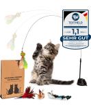 Kasparino Cat Toy Fishing Set 2.0 | Interactive Durable Cat Toys with Springs Bird & Suction Cup | Includes Catnip for Self-Employment Fun - Buy Online on GoSupps.com