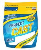 2LB Perfect Cast & Paint Harder Than Plaster Casting Material - 1 Unit - Buy Online on GoSupps.com
