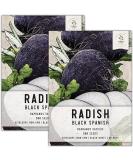 Seed Needs, Black Spanish Radish Seeds - 500 Heirloom Seeds for Planting Raphanus sativus - Cool Weather Crop, Non-GMO & Untreated for an Outdoor Garden (2 Packs) - Buy Online on GoSupps.com