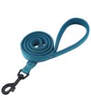 Durable Dog Leash Strap - Padded 1.1m Pet Leash for Puppies - Blue | International Shipping Available - Buy Online on GoSupps.com