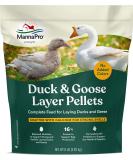 Manna Pro Duck Layer Pellets | High Protein for Enhanced Egg Production & Digestive Health - Buy Online on GoSupps.com