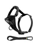 Kurgo Tru-Fit Smart Dog Harness With Padded Chest Panel and D-Ring Includes Car Seat Belt Size S Black - Buy Online on GoSupps.com