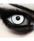 Buy DESIGNLENSES White Halloween Witch Costume Contact Lenses - Soft Zombie Colored Eyes Non-Prescription 1 Pair - Buy Online on GoSupps.com