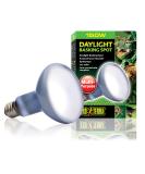 Buy Exo Terra Daylight Basking Spot 150W R30 - Broad Spectrum Daylight Lamp E27 for Reptiles | International Shipping - Buy Online on GoSupps.com