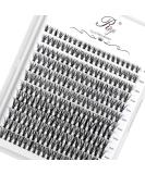 Riya 20D 240pcs D Curl Eyelash Clusters DIY Kit | Wispy Cluster Extensions for Lash Volume | 9-15mm Individual Lashes | Home DIY - 20D 0.07D Mixed - Buy Online on GoSupps.com
