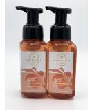 Bath and Body Works Gentle & Clean Foaming Hand Soap 8.75 fl. oz. (Aromatherapy Orange Ginger 2-Pack) - Buy Online on GoSupps.com