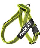 Buy Julius-K9 Belt Harness XS Mini-Mini Neon-Grey | Best Quality Dog Harness for Global Shipping - Buy Online on GoSupps.com