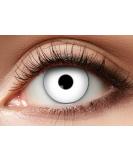 Buy Solid White Balinco Colored Contact Lenses - Costume Accessories for Cosplay Halloween Parties & Festivals - No Prescription Needed - Buy Online on GoSupps.com