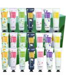 21 Pack Hand Cream Gift Set Gentle Hand Cream Lotion with Natural Plant Flower Fruit Flavour for Self Sensitive Skin Extra Moisturising Cream for Outdoor Use Travel Size - Buy Online on GoSupps.com