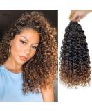 Gogo Curl 14 Inch 8 Packs Ombre Dark Brown Curly Crochet Hair for Black Women - Wavy Beach Curls Synthetic Braiding Extensions - Buy Online on GoSupps.com