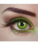 aricona contact lenses daily lenses - green contact lenses colored - Magic green - Halloween contact lenses without strength for Halloween & costume parties - Buy Online on GoSupps.com