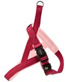 Nobby Norwegians Classic Preno raspberry/pink L: 38-50 cm + 36 cm B: 20/25 mm 1 piece 38 - 50 cm + 36 cm/20 25 mm raspberry/pink - Buy Online on GoSupps.com