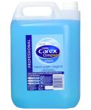 CAREX HANDWASH PROFESSIONAL - ORIGINAL 5ltr (P) - Buy Online on GoSupps.com