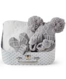 Winter Baby Clothes Set - Newborn Essentials Gift Bundle | Baby Hat, Blanket, Booties, Gloves | Grey Baby Shower Gift Set - Buy Online on GoSupps.com