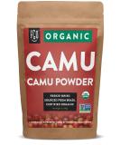 Organic Freeze-Dried Camu Powder | 7oz Resealable Kraft Bag | 100% Raw From Brazil | by FGO 7 Ounce (Pack of 1) - Buy Online on GoSupps.com