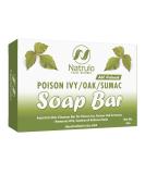 Natrulo Poison Ivy Soap Bar - Natural Anti-Itch Treatment for Poison Ivy, Oak & Sumac - Soothes Rashes - Made in USA - 4 oz - Buy Online on GoSupps.com