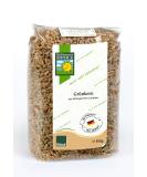 Gr nkern 500g - Organic Spelt Grain Pack for Healthy Cooking | International Shipping Available - Buy Online on GoSupps.com