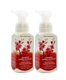 Bath & Body Works Gentle Foaming Hand Soap. Japanese Cherry Blossom (2-Pack) Japanese Cherry Blossom 8.75 Fl Oz (Pack of 2) - Buy Online on GoSupps.com