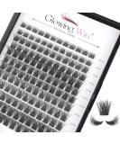Glowing Win Single Eyelashes Extensions - 144 PCS DIY Cluster Lashes 8-16mm | Natural Wispy Individual False Eyelashes - Buy Online on GoSupps.com
