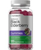 Elderberry Gummies with Zinc and Vitamin C | 120 Count | Vegan, Non-GMO, Gluten Free | Black Elderberry for Adults | by Horbaach - Buy Online on GoSupps.com