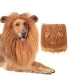 Shop Lion Mane Dog Costume - Perfect for Medium to Large Dogs & Cats | International Shipping Available - Buy Online on GoSupps.com