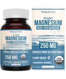 Organic Magnesium | Whole Food Magnesium - Plant-Based, Organic Sea Vegetable Complex - 250 mg Magnesium Per Serving | Water Extracted | Gentle on Stomach | Energy, Sleep, Muscle, Heart - 60 Capsules