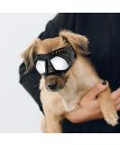Anti-UV Small Dog Glasses - Soft Motorcycle Goggles for Small to Medium Dogs | Foggy Windproof & Sausage-Proof Protection - Buy Online on GoSupps.com
