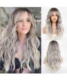HAIRCUBE Long Grey Synthetic Hair Wig with Fringe for Women - Shop Now! - Buy Online on GoSupps.com