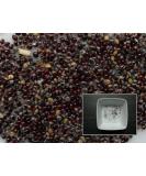 Portal Cool 70 Graines: epazote - Chenopodium Ambroisies - Messico-Tea - Sem03 - Buy Online on GoSupps.com