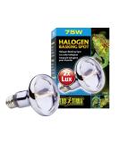 Exo Terra Halogen Basking Spot 75W - Broad Spectrum Daylight Lamp E27 Socket - 1 Pack for Reptiles & Amphibians - Buy Online on GoSupps.com