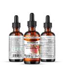 Heavenly Herbals Inc. Carduus Marianus Q - Mother Tincture - Supports Liver Gallbladder & Pancreatic Function. Aids in Detoxification. 2.0 Fl Oz - Made in USA - WellnessHerbs Ships from USA - Buy Online on GoSupps.com